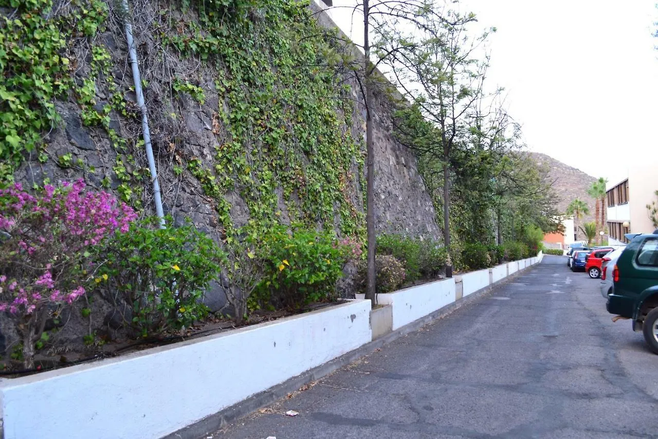 Flores & Campos Guest House Santa Cruz de Tenerife