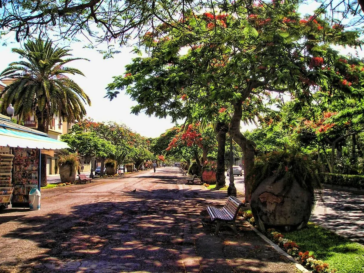 Daire Flores & Campos Guest House Santa Cruz de Tenerife